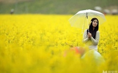 逆鳞什么时候拍的